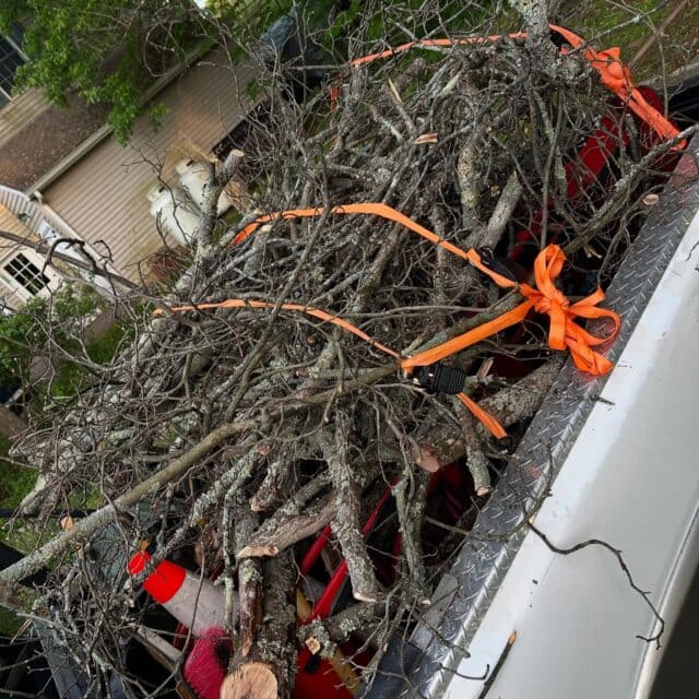 We take care of the PILE, you while you sit back and SMILE 😃 You may not love it. But we love removing tree debris for you… contact Dan @cleanworkingspace 484.546.4870