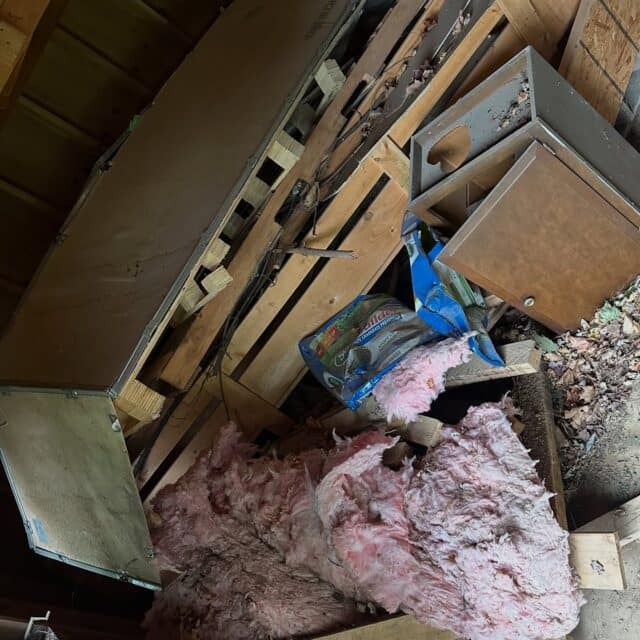 Shed clean out… make room for all of the new shed items. ✅ GET IT DONE!5-Star Google Reviews ⭐️⭐️⭐️⭐️⭐️💯% recommended on Facebook 🇺🇸 Simple. Affordable. Local. JUNK REMOVAL service! GET IT DONE! in AMERICA • 484.546.4870 🇺🇸🏠 Local, family-owned business♻️ Eco-friendly disposal practices👌🏻 Professional, reliable service👏🏻 Affordable pricingResidential✅ House, Garage, & Basement Clean Outs✅ Storage Unit Clean Outs✅ Play Set Demo/Removal✅ Shed & Hot Tub Demo/Removal✅ Pool & Deck Demo/Removal ✅ Decluttering & Removal of Unwanted Items Realtors, Property Managers, Insurance Companies✅ Residents/Tenants Moving In/Out✅ Home/Apartment Evictions✅ Storm Damage & OutbuildingsDECLUTTERING & JUNK REMOVAL✅ Same/Next Day/Schedule✅ Weekends by appointment✅ Declutter/Remove Unwanted ItemsClean Working Space, LLC… hire the local Junk Removal company you know, like, and trust. Licensed and Insured. Free Estimates📳 Message/Call us today! 484.546.4870Check out our website for more details and services!www.cleanworkingspace.comHomeowners, Rentals, Residential, Commercial, Property Managers…✅ We communicate. ✅ We show up. ✅ We GET IT DONE🏷 Discounts: Veterans, First Responders, Seniors & Churches, We accept: Cash, Venmo, PayPal (credit cards)Appliance Removal, E-Waste Removal, Storage Unit Clean Outs, Garage Clean Outs, Real Estate, Foreclosure, Eviction & Estate Clean Outs, Furniture Removal, Commercial Business Services, Hoarder House Clean outs, Construction Debris Removal, Property Management Services, Tire Removal, Hot Tub Removal, Yard Debris Removal, Shed Removal, and Mattress Removal. And more…