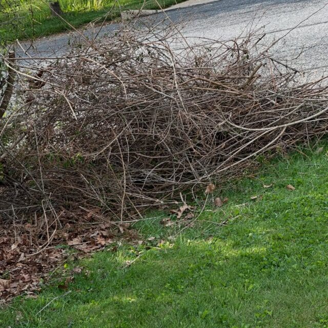 Removed this brush and yard waste for this customer. Got him in same day, before the rain! 484.546.4870