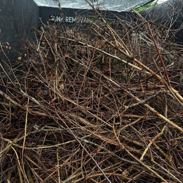 Back yard brush clean up… we do it in the rain, so you can enjoy it in the sun! ☀️🌧️ 484.546.4870 @cleanworkingspace