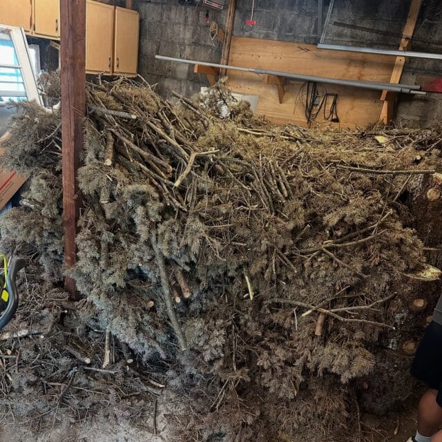 We don’t ask why you have a whole cut up pine tree in your garage… just kidding, we did. Whether you are saving your pine for Christmas next year, got the wrong idea about a pinewood derby car, or your tree guy just never came back to finish the job… this customer knew who would GET IT DONE! 484.546.4870